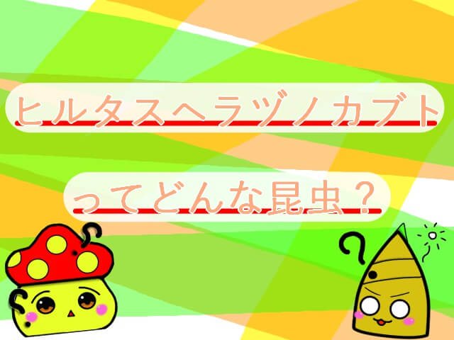 Thumbnail of post image 029